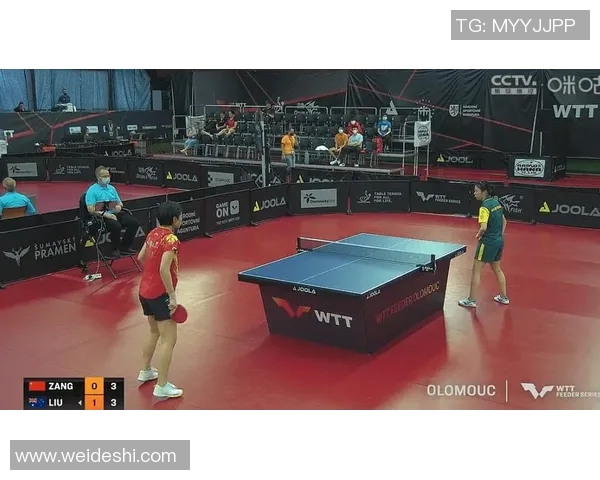 羽毛球单打关键分心理素质影响与运动员临场应对策略研究